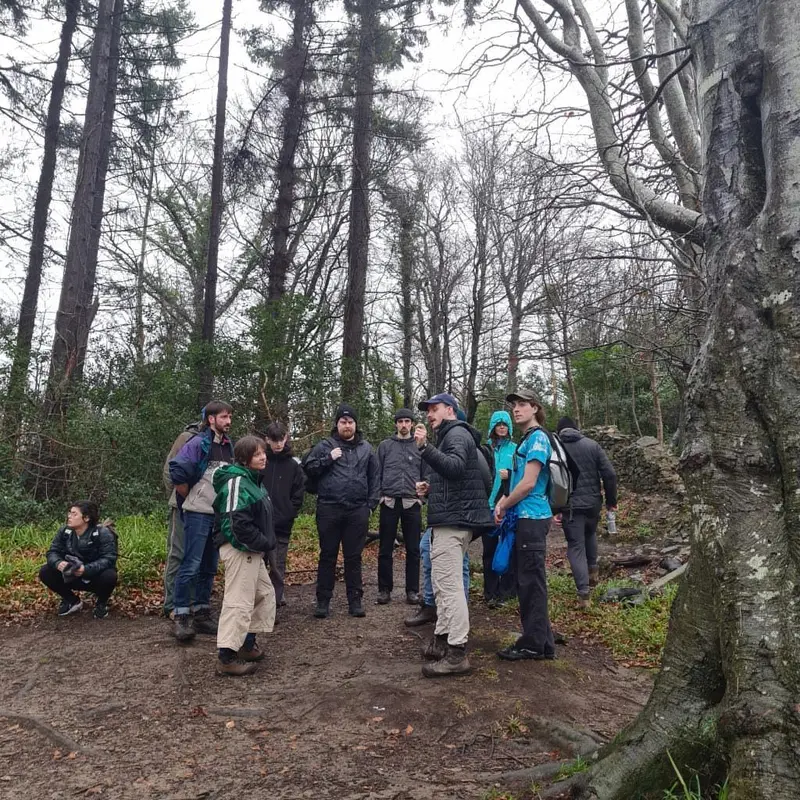 Craobh nua, coillte nua agus an Ghaeilge faoi bhláth i gCill Mhantáin