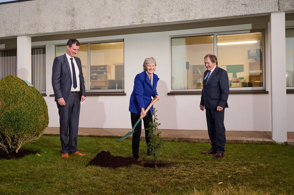 Uachtarán na hÉireann Catherine Connolly ar cuairt go RTÉ Raidió na Gaeltachta i gCasla, Conamara agus crann nua curtha aici