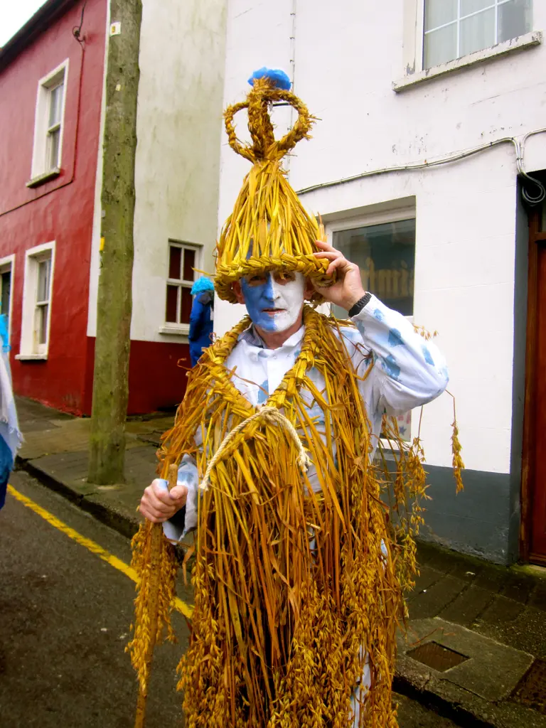 Dreoilín Dhaingean Uí Chúis