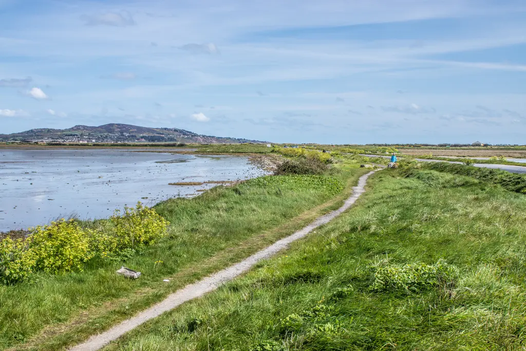 Léamhthuiscint: Oileán an Bhulla