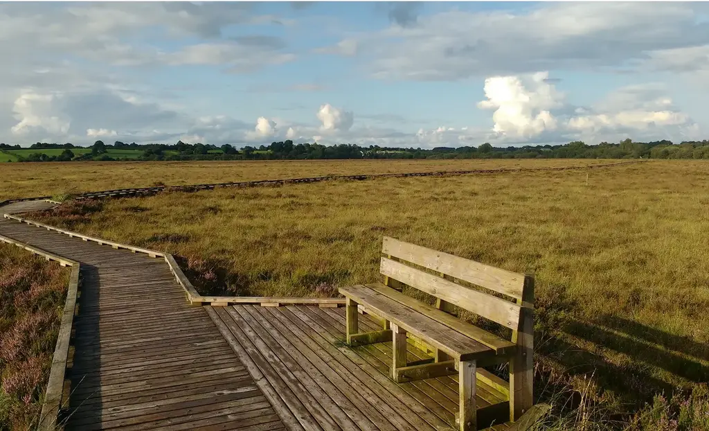 Portach Chlóirthigh in Uíbh Fhailí agus an tábhacht a bhaineann leis an nádúr