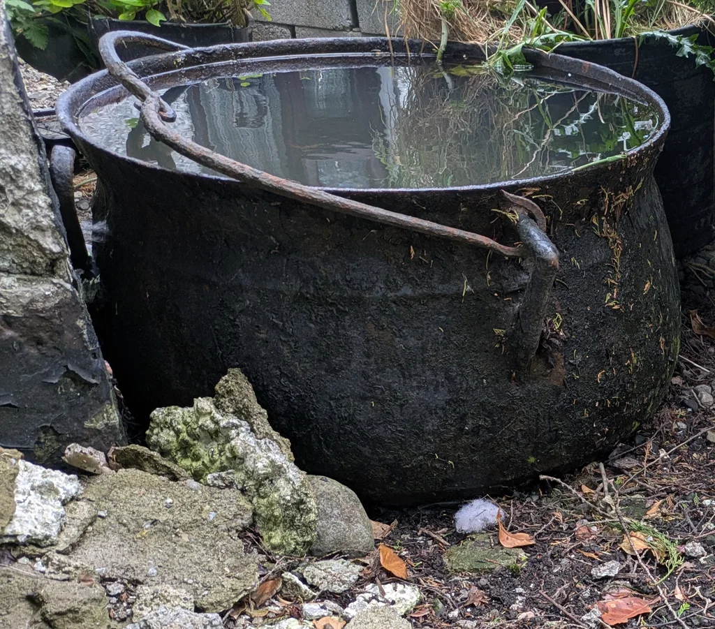 Potaí an Ghorta Mhóir agus Cumann na gCarad  