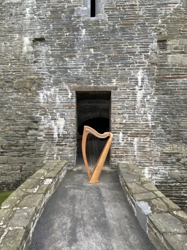 Cruit na hÉireann