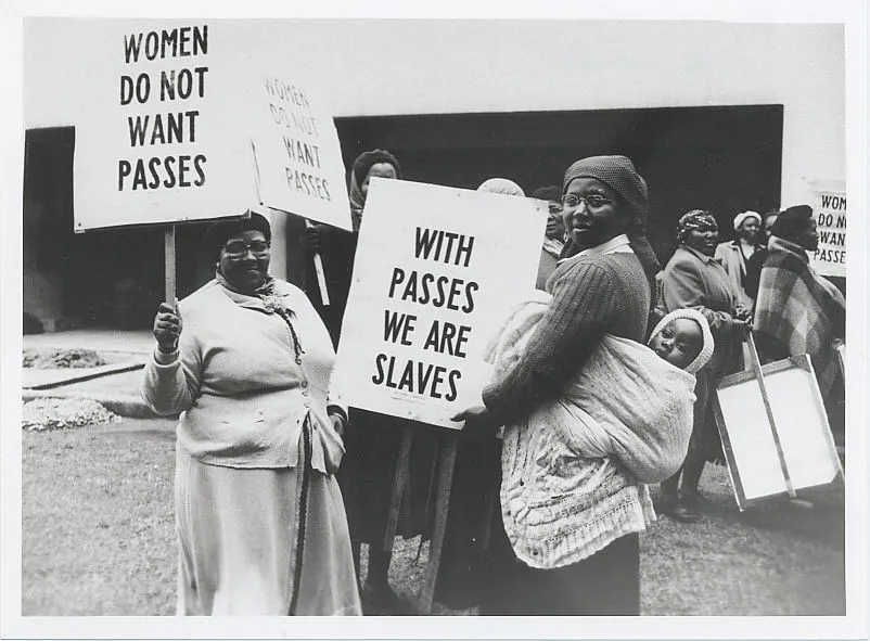 Mórshiúl na mBan in éadan chóras na cinedheighilte, Lúnasa 1956