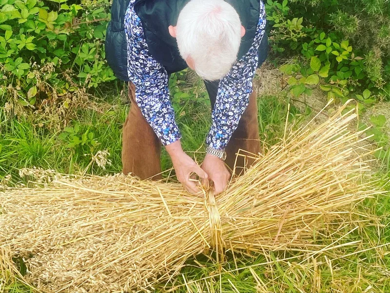 Deireadh an fhómhair